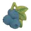 Oli & Carol Jerry The Blueberry Bijtspeeltje