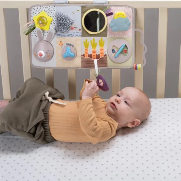 Taf Toys Urban Garden Activity Center